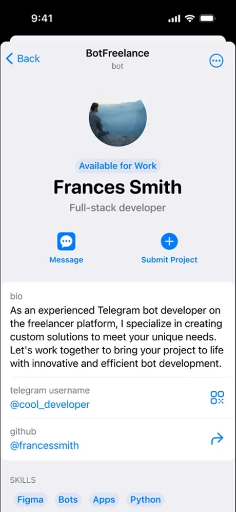 BotFreelance: developer profile